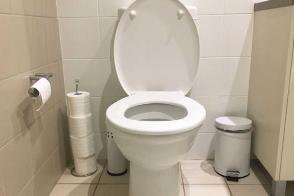 پخش کلی توالت فرنگی ارزان قیمت